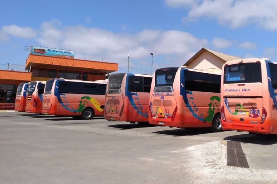 Terminal de Buses de El Quisco Pullman Bus