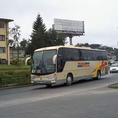 Buses Trans Chiloe