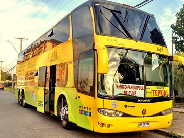 buses-tepual-lafit