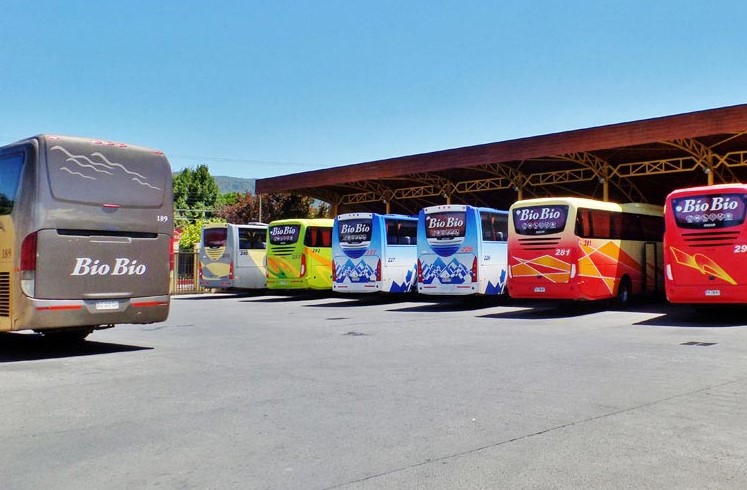 terminal buses Angol