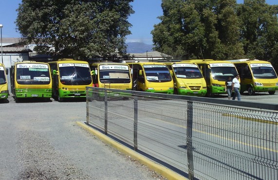 terminal buses limache